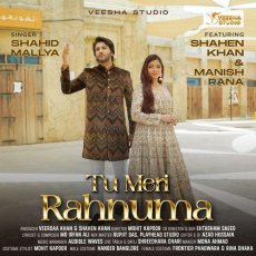 Tu Meri Rahnuma Mp3 Tu Meri Rahnuma Mp3